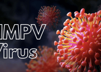 राज्यात HMPV व्हायरसचा प्रवेश? नागपुरात दोन मुलं संक्रमित; दोन्ही रुग्ण बरे